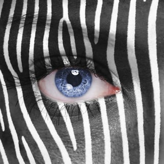 zebra-eye.jpg