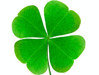Pursuing luck